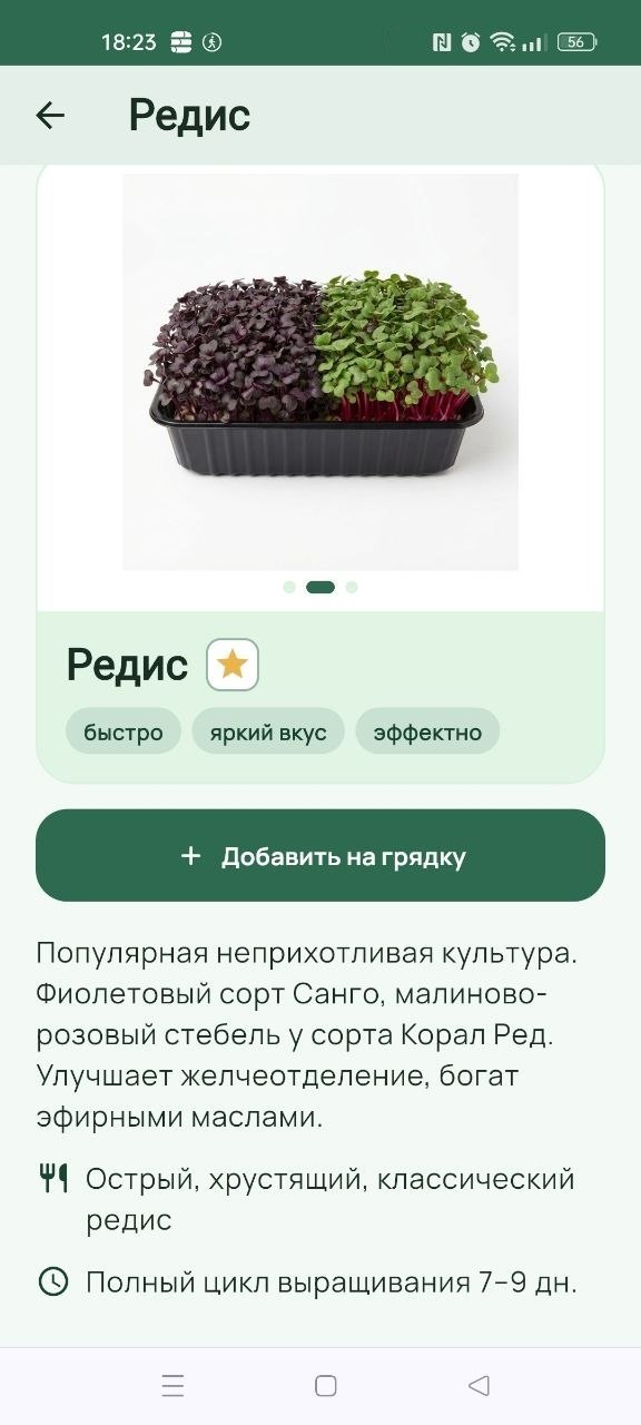 Энциклопедия микрозелени: сроки, норма семян и заметки с фото